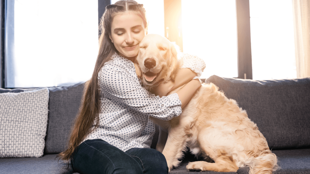 Woman Girl Petting Dog Hugging on the Couch MSN