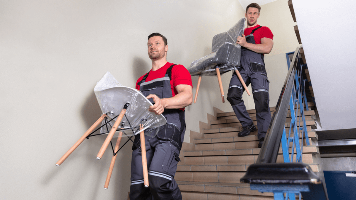 Young male movers carrying chairs MSN