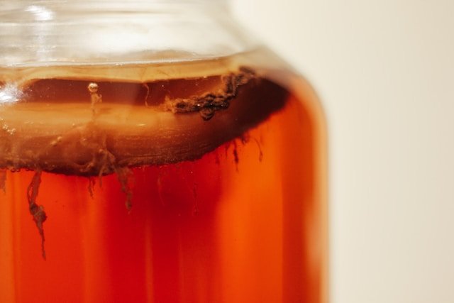 The Enchantment of Kombucha: Exploring the Fermented Elixir
